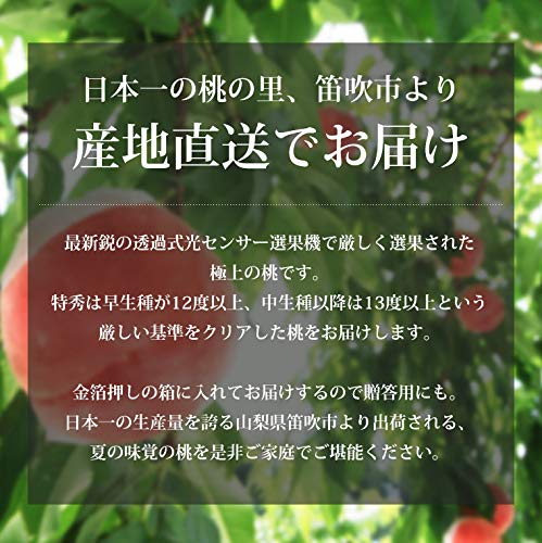 Amazon.co.jp: もも 一宮 匠の桃 特秀品 約2kg 5～8玉 JAふえふき 山梨